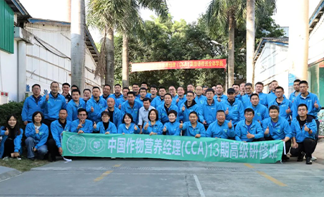 CCA13班